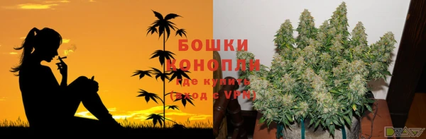 ECSTASY Дмитриев