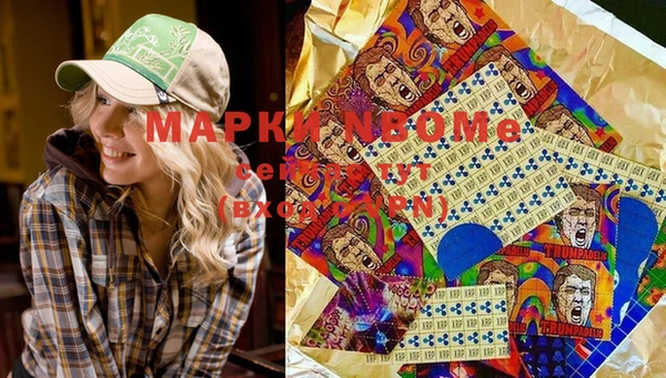 амф Дмитров