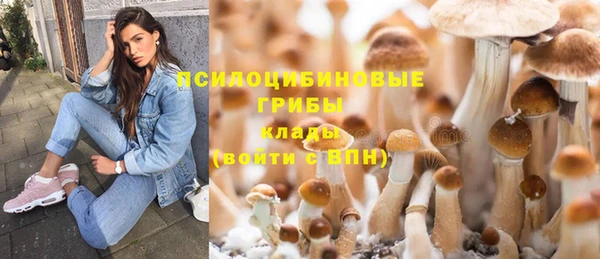 эйфоретик Пестово