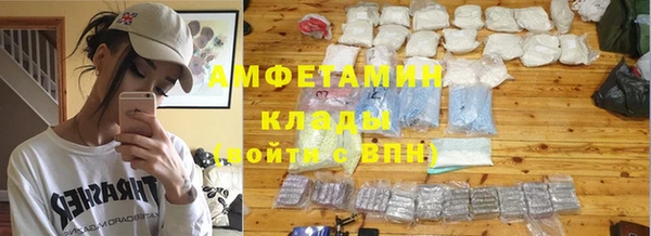 трава Пересвет