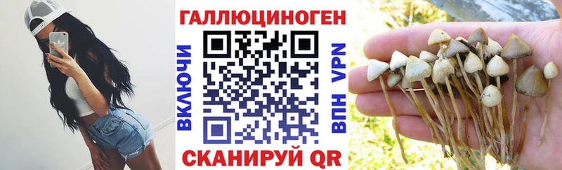Галлюциногенные грибы MAGIC MUSHROOMS  блэк спрут зеркало  Киржач 